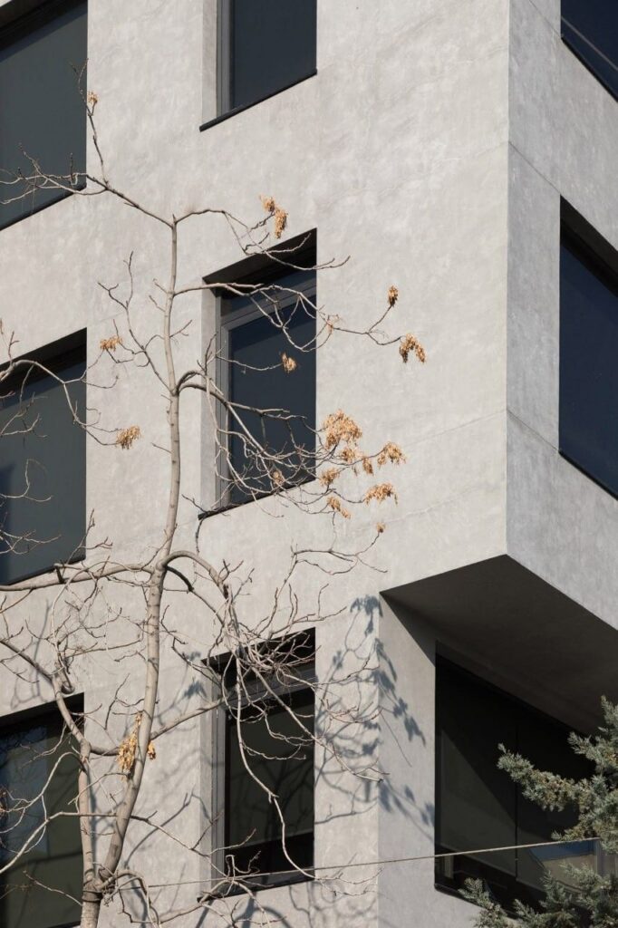 میکروسمنت نما